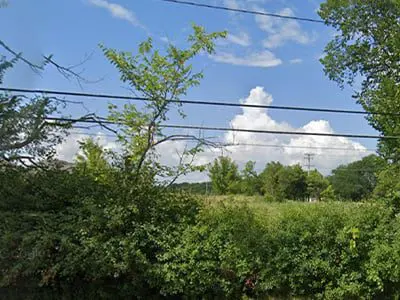 a view of a green field