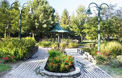 a park with a stone walkway and trees