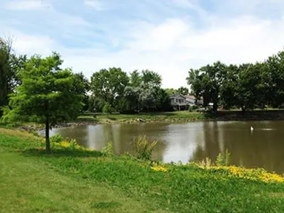a lake with grass and trees