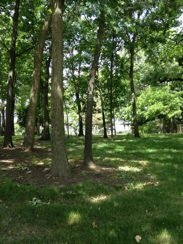 Golf Road Nature Preserve