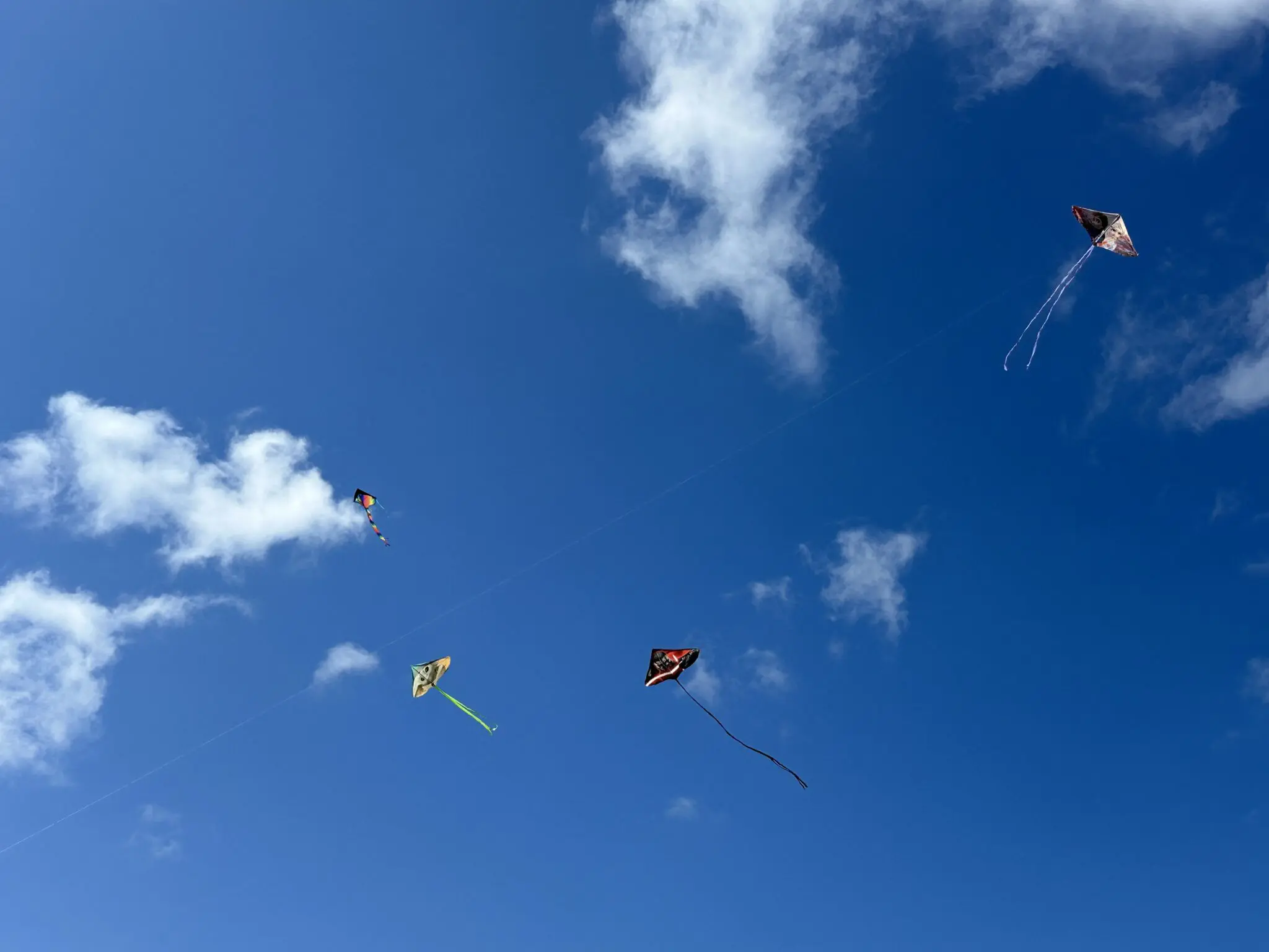 a group of kites in the sky