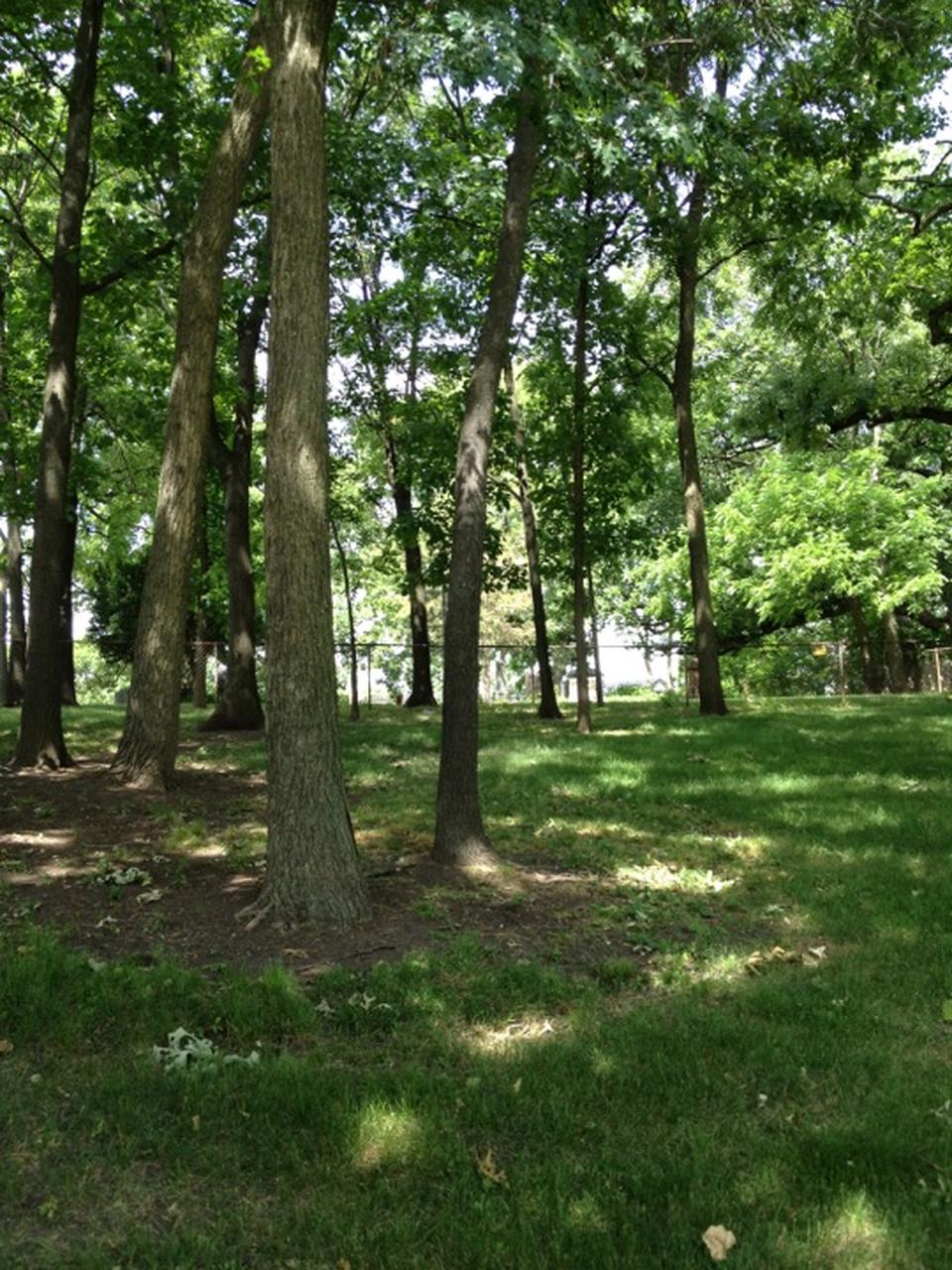 Golf Road Nature Preserve